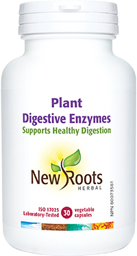 Plant Digestive Enzymes