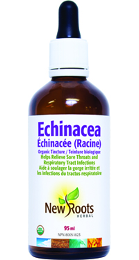 Echinacea