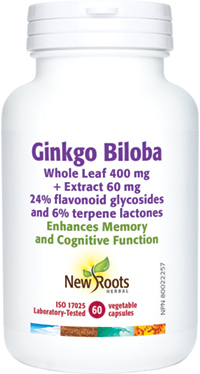 Ginkgo Biloba