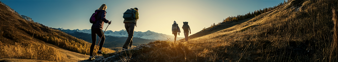 Powerful Adaptogen for Brain Support