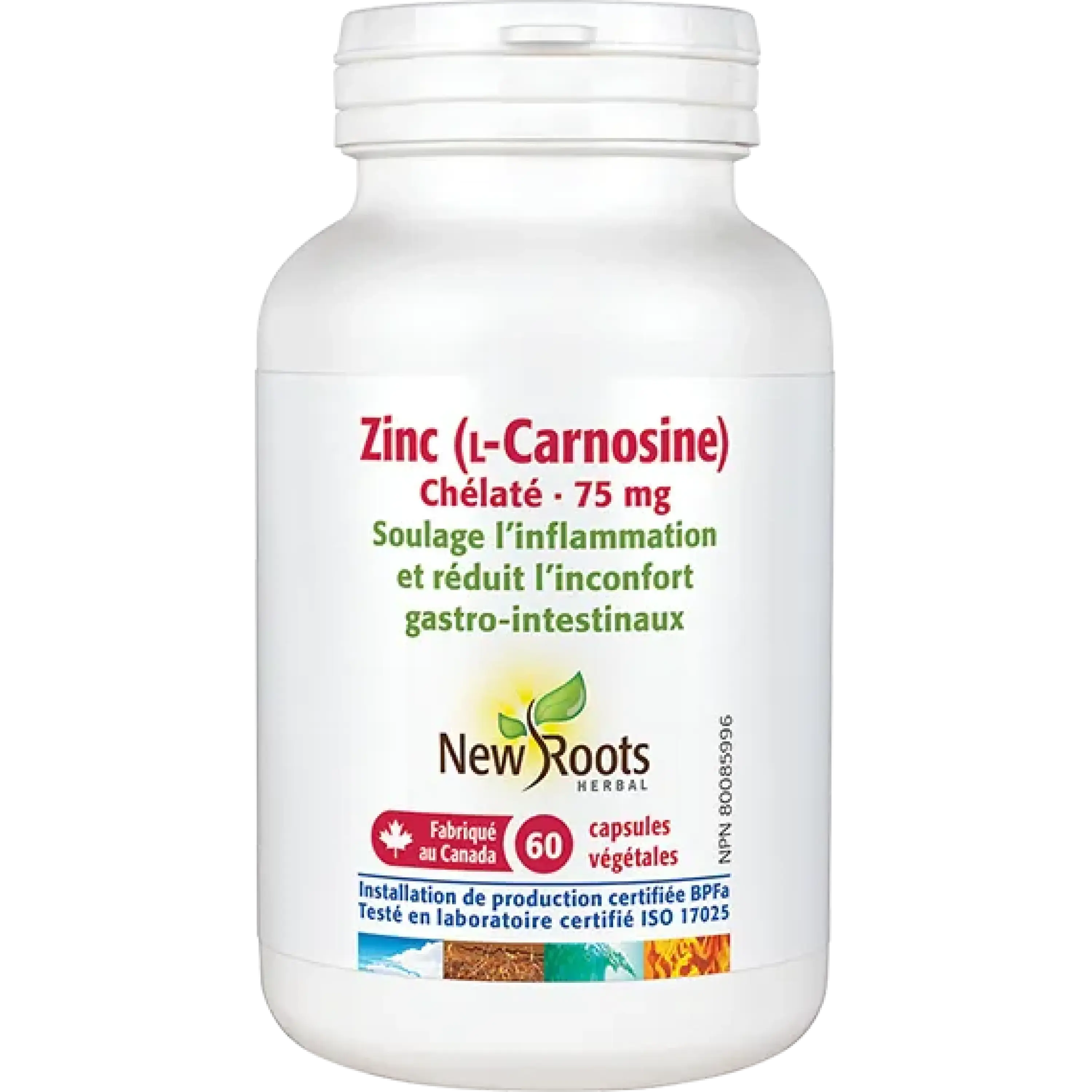 Renforcez votre armure digestive